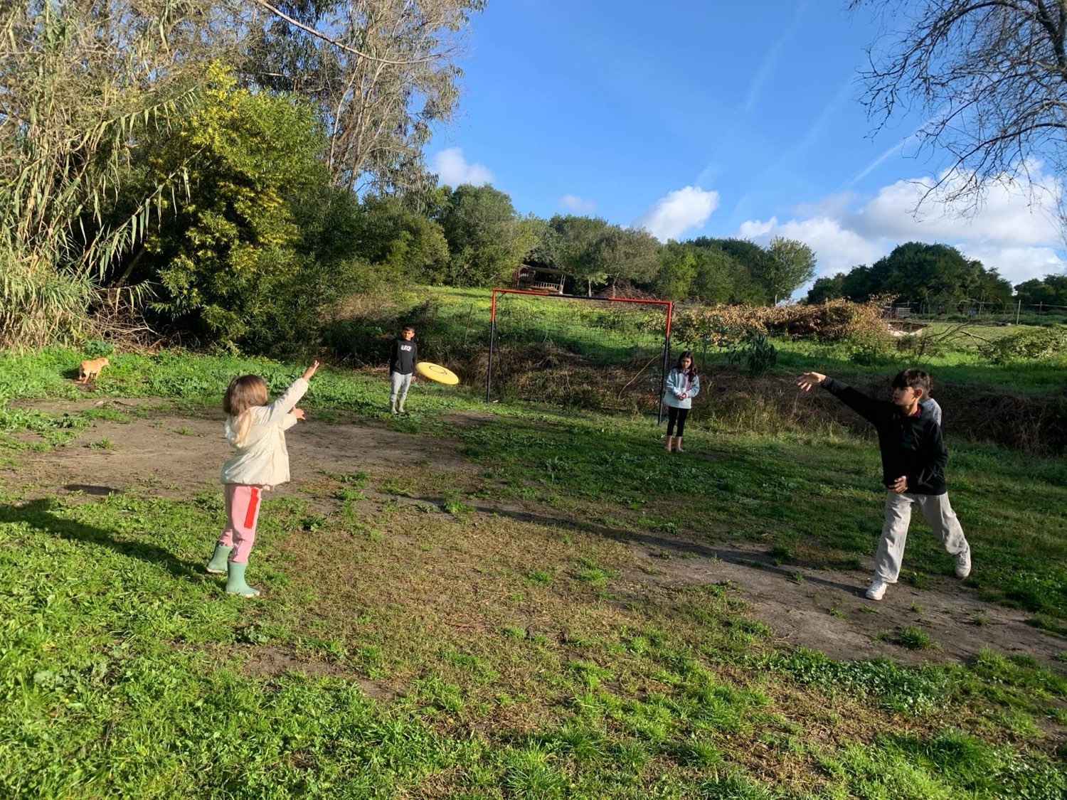 Children playing together outdoors in calm golden evening light